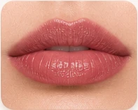 Rose Veil 04 shade shown on lips